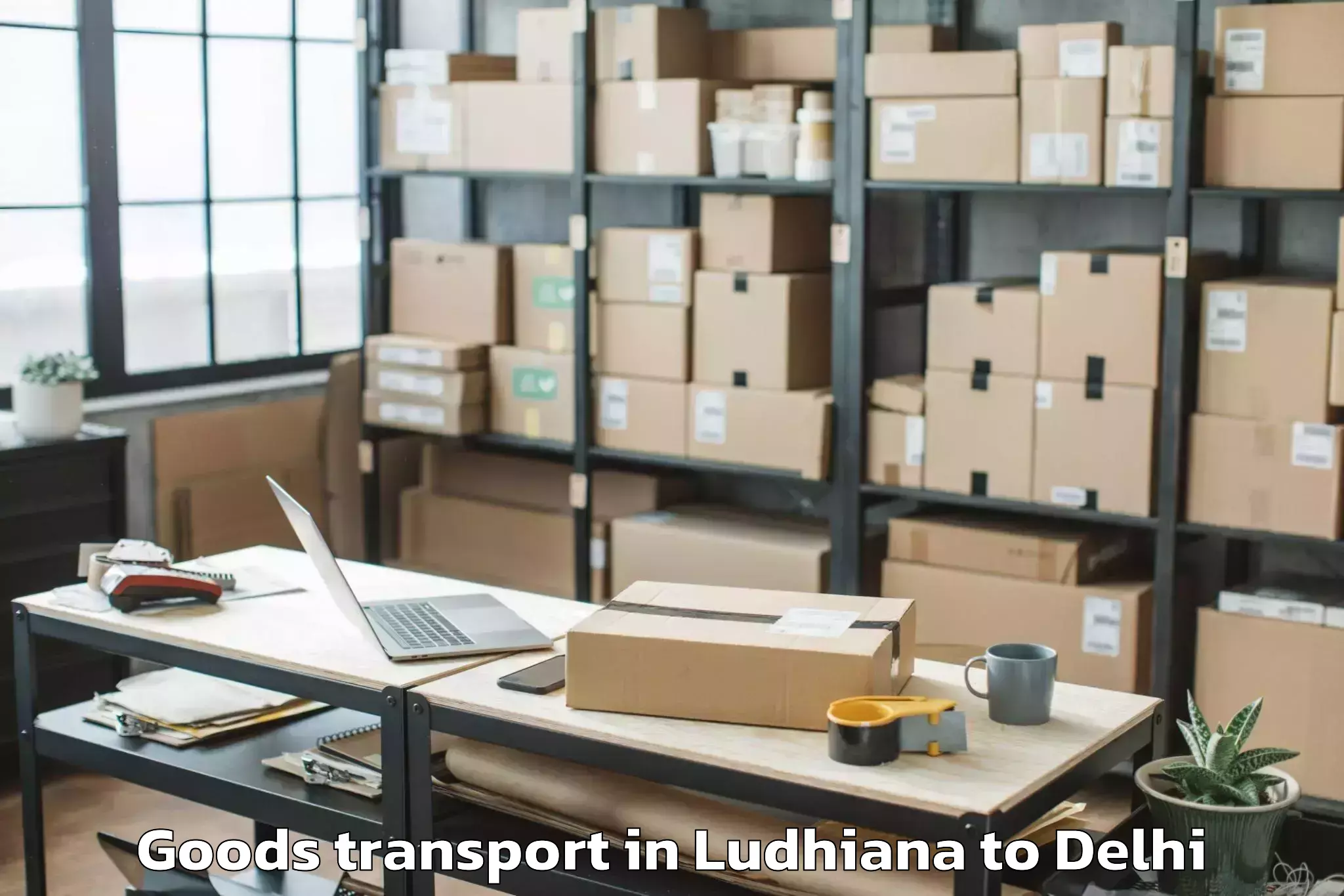 Reliable Ludhiana to Dt City Centre Mall Delhi Goods Transport